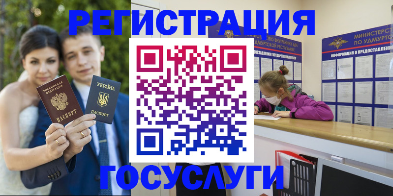 прописка поиск в Николаевске